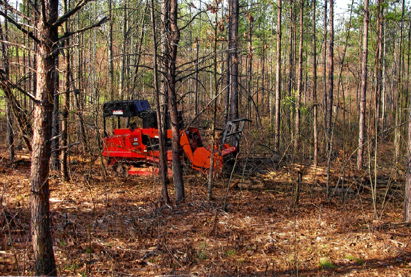 Land Clearing Batesburg, SC